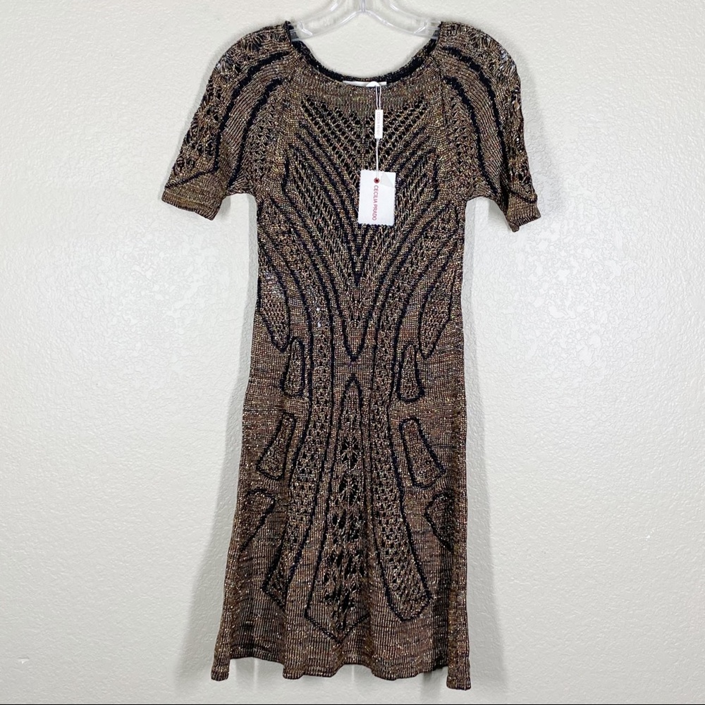Cecilia Prado Metallic Knit Chevron Dress